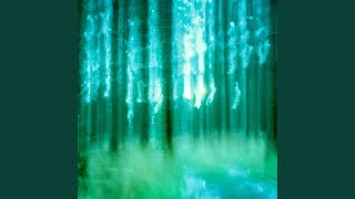 Fading Into Fir