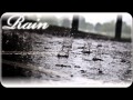 【作業用BGM】雨の音を1時間(One hour the sound of rain)