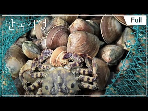 [Full] 한국기행 - <strong>칠산바다</strong> 3부 갯벌에서 찾은 행복 20141022