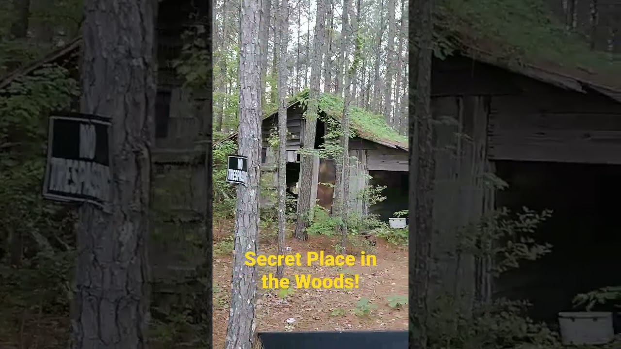 Secret Place in the Woods! 