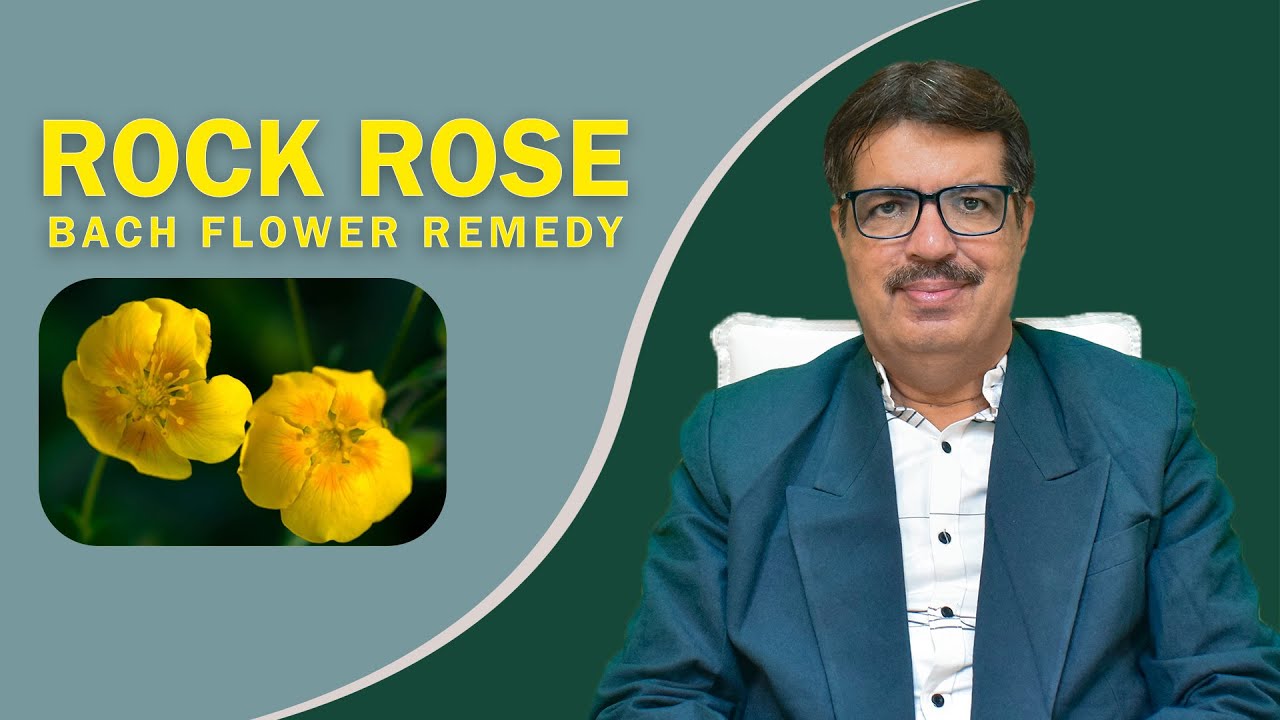 ROCK ROSE BACH FLOWER REMEDY EXPLAINED BY DR. KEDARNATH A. LONGANI M