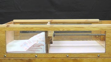 Sandbox experiment - erosion of a thrust wedge