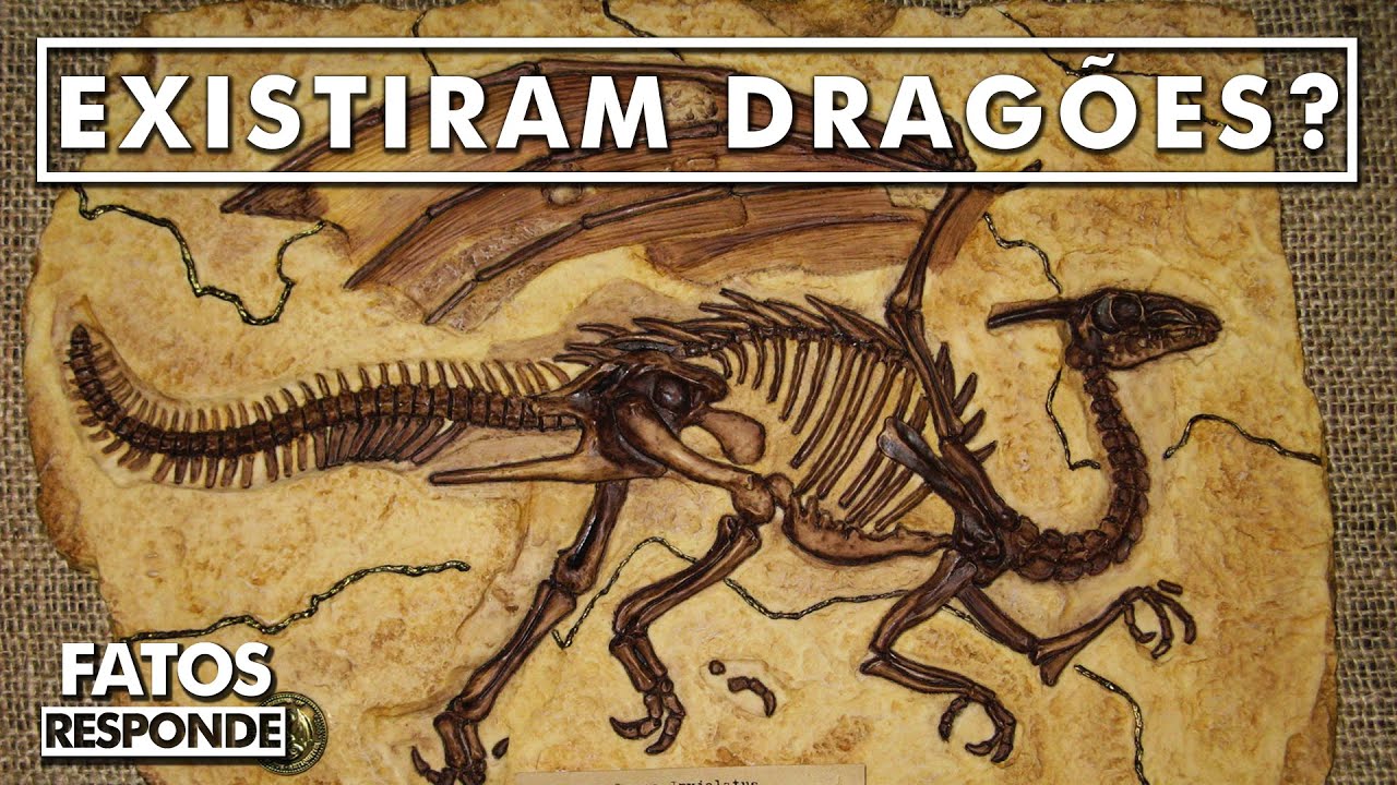 Os Dragões Realmente Existiram? – FATOS RESPONDE