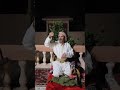 شاهد رد فعل الشيخ حمد بن فدغم بعد لجوء ابنة صدام حسين إليه ضد فارس مناع