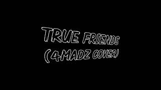 Bring Me The Horizon - True Friends (4MADZ Cover)