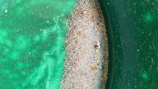 Mining for Gold After Hurricane Helene! #shorts #goldpanning