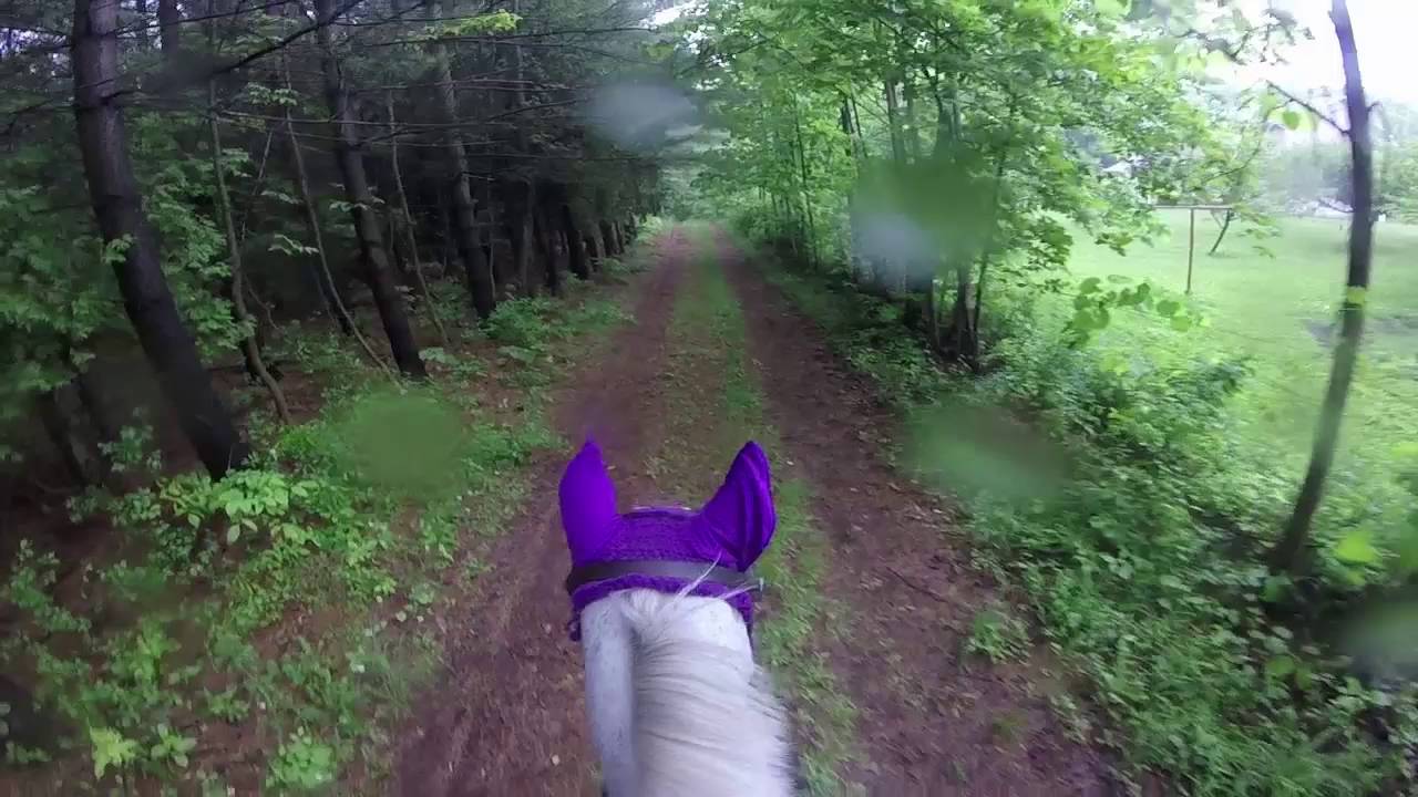 Hunter Pace Horse Show YouTube