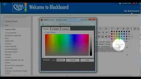 Bb Basics - Adding Content and Tools