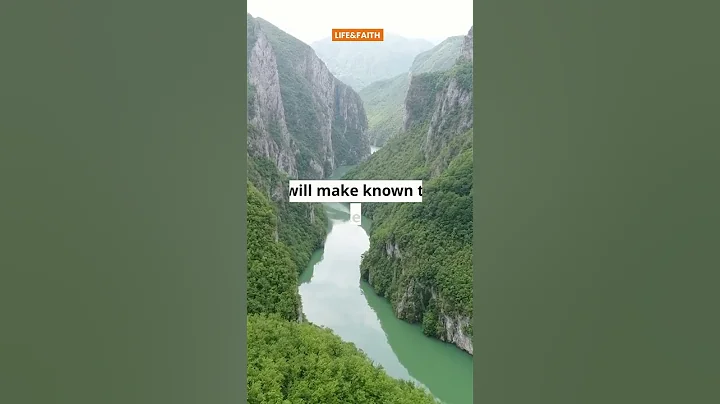 Book of Wisdom - VERSES OF THE DAY - PROVERBS #1 #shorts #amen