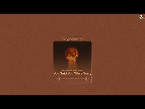 You Said You Were Sorry Selena Gomez Benny Blanco Sped Up