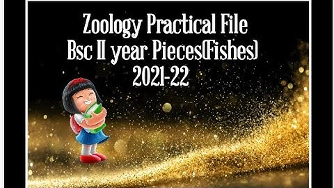 Pisces, Zoology practical file with classification 2021-22  BSC 2nd year