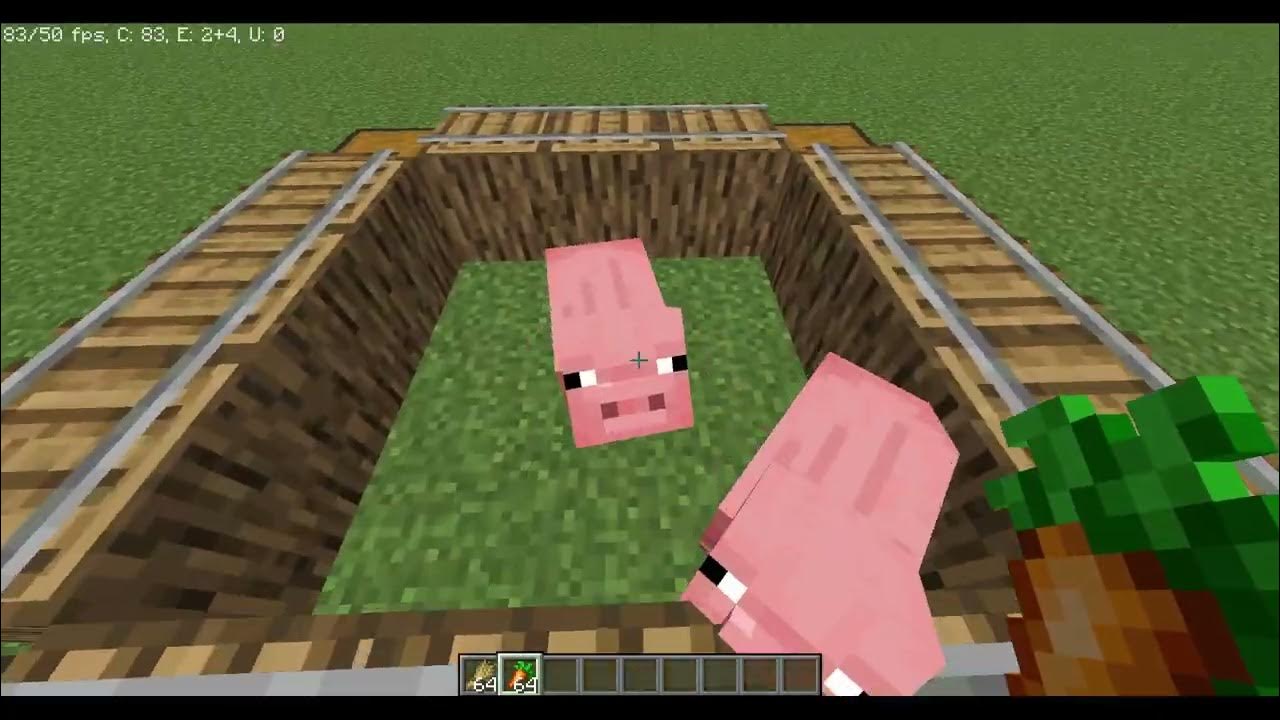 How to breed pigs in minecraft YouTube