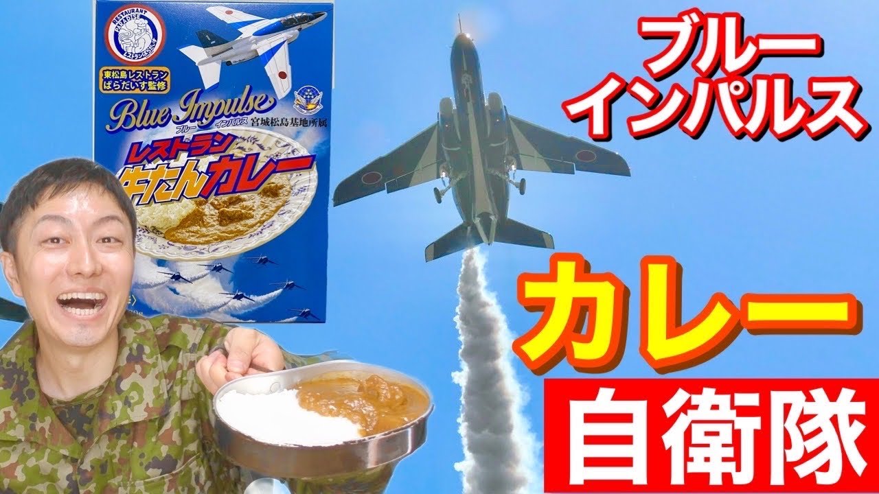 航空自衛隊ブルーインパルス「牛たんカレー」がすごいカレーだった