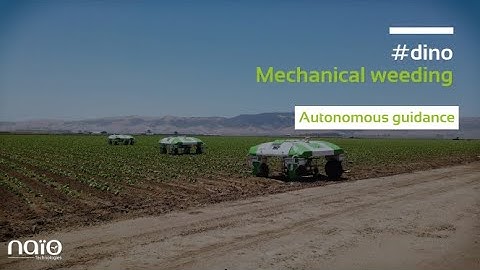 #Dino - 2021 - Autonomous Guidance