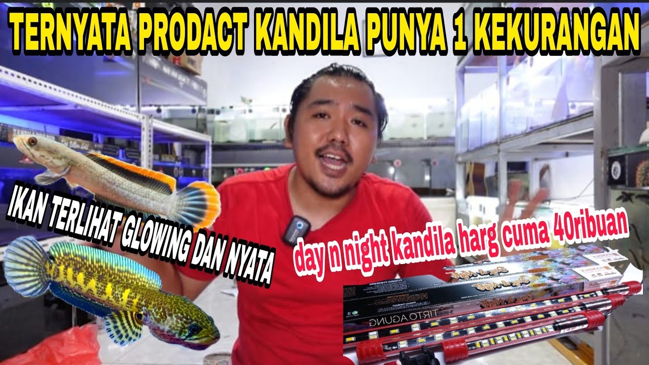 UNBOXING‼️LAMPU 40RIBUAN SUDAH ADA UV DAN NIGHT MODENYA⁉️