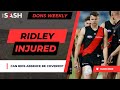 How can Essendon cover Ridley&#39;s absence? | Dons weekly