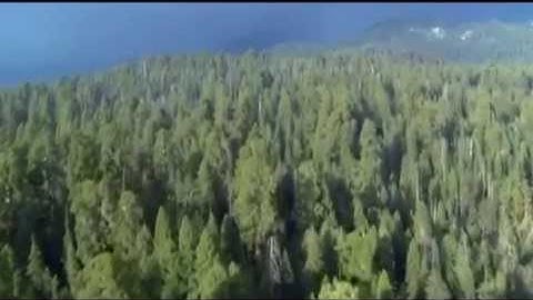 عشائية للقارئ ماجد الحازمي