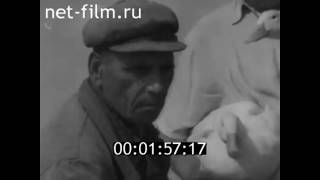 На утиной ферме Совхоз Суровикинский Сталинградская область 1960 год