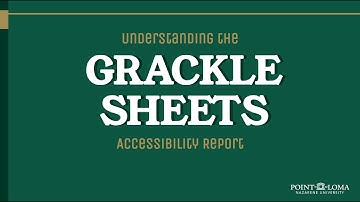 Understanding the Grackle Sheets Accessibility Report