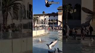 Morocco  🕊🕊 Marokkó