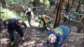 En la tercera sección del bosque de Chapultepec, fue encontrado el cuerpo sin vida de una persona