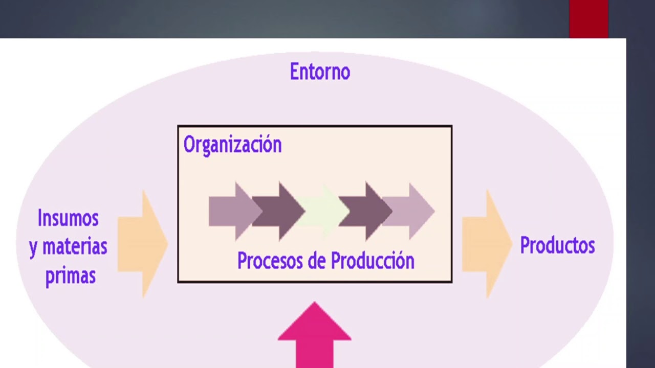 VIDEO IMPORTANCIA DE LA SELECCION DE PROVEEDORES Grande 1 - YouTube