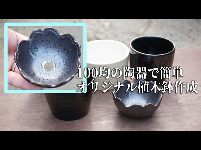 盆栽鉢　100 秀峰鉢【大宮盆栽村100周年記念】 | bonsaiQ store