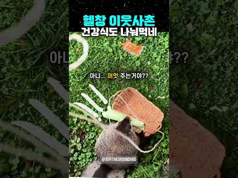 헬창 이웃사촌, 건강식도 나눠먹네... thumbnail