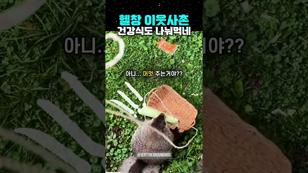 헬창 이웃사촌, 건강식도 나눠먹네...