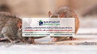 شركة مكافحة فئران دبي (0506490923) افضل شركات مكافحة الفئران ، القوارض في دبي