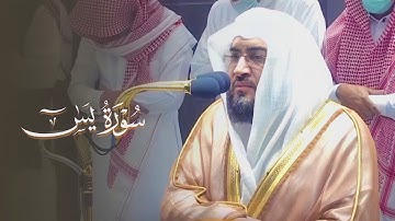 "فلا يحزنك قولهم" تلاوة بالعجم الماتع من سورة يس للشيخ بندر بليلة | فجر 16-8-1443هـ
