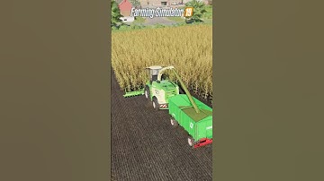 😅Fs11 vs Fs13 vs Fs15 vs Fs17 vs Fs19 vs Fs22 vs Fs25