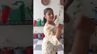 Wawa Waka With You Dramatic Queen