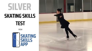 Silver Skating Skills Test (formerly the Novice Moves in the Field Test)