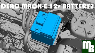 Dead Ford Mustang Mach E 12 Volt Battery? Bcm Replacement Electrical System Drain Service Required