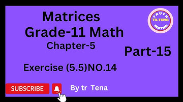 Grade11 maths chapter5,matrices, exercise(5.5) No.14, tena