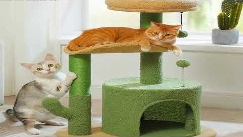A must-have product! Cactus Cat Tree with Curved Perch Cozy Cat Condo Small Cat Tower with Removab