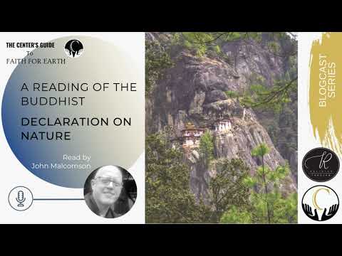 A Reading of the Buddhist Declaration on Nature