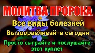 МОЛИТВА ПОСЛУЖИВАЮЩЕГО АЛЛАХА 🤲 СЕГОДНЯ ИЗЛЕЧИВАЮТСЯ ВСЕ ВИДЫ БОЛЕЗНЕЙ, ИНШААЛЛАХ