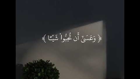 ﴿وَعَسَىٰ أَن تَكْرَهُوا شَيْئًا وَهُوَ خَيْرٌ لَّكُمْ﴾[ البقرة: 216] القارئ: محمد هشام .