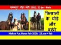 मकनपुर मेला किसानों के घोड़े MakanPur Horse Mandi Mela Market - 2020 - Horses For Sale