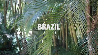 Loch Lomond - Elephants And Little Girls Trip In Brazil