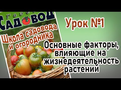 Основные факторы, влияющие на жизнедеятельность растений.      Урок №1