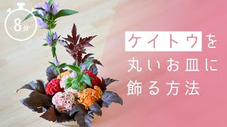 #2 【敬老の日】ケイトウの花をプレゼント