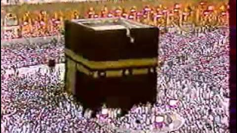 آخر سورة الأحزاب - الشيخ علي جابر