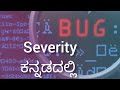 What is severity | types of severity | basics of Software Testing