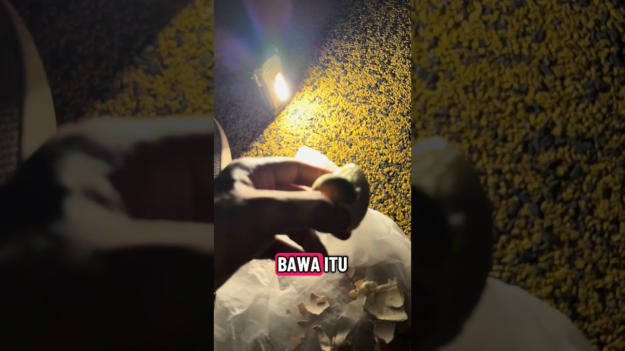 Test sidelight wuben x4 dengan telurrebusdlm papan gelongsor 