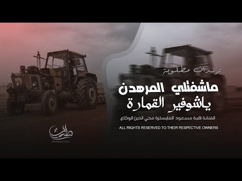 ماشفتلي المرهدن ياشوفير القمارة ترند الجديد 2026
