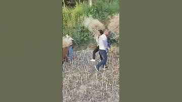 In the crushing process of rapeseed, good machinery can improve efficiency