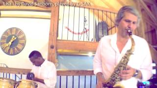 Lisa - by David Sanborn, played by G-SAX